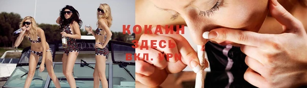 спиды Заводоуковск