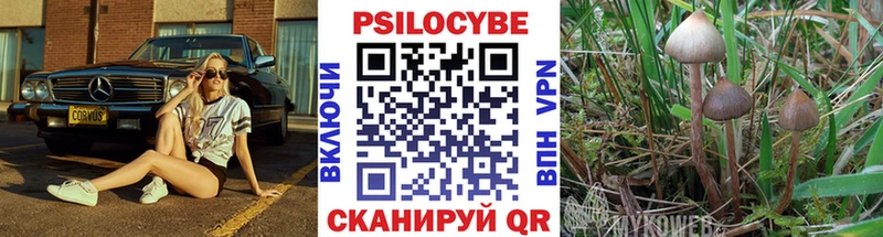 Галлюциногенные грибы мухоморы  Купить где  Усть-Джегута 