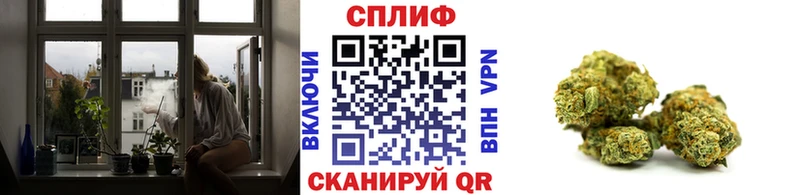 Канабис план  Купить закладки  Усть-Джегута 